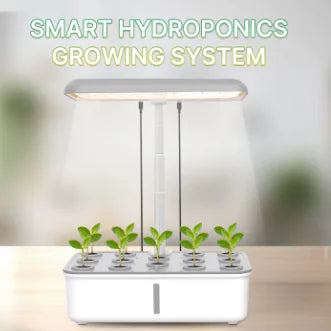 Hydroponic Planter  Indoor Garden