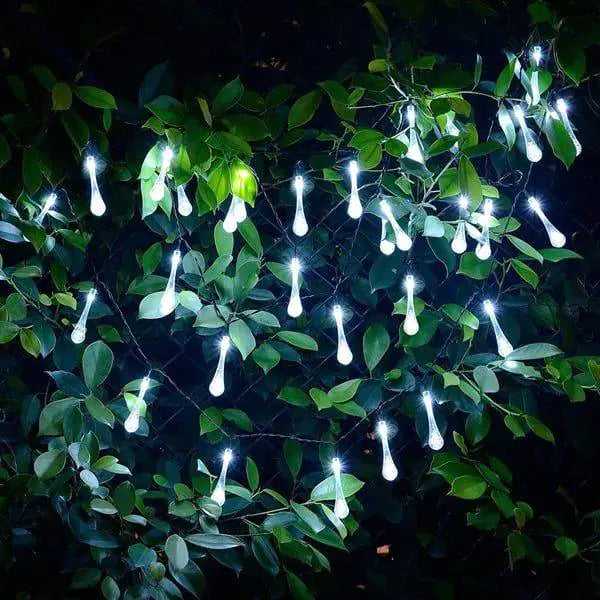 Garden Solar Lights